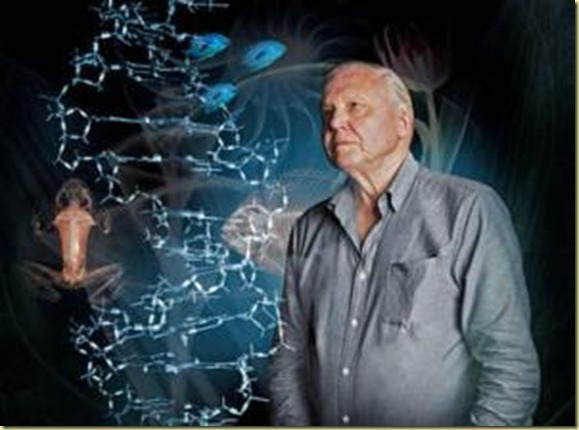 charles-darwin-and-the-tree-of-life-1
