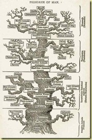 darwin-tree-of-life